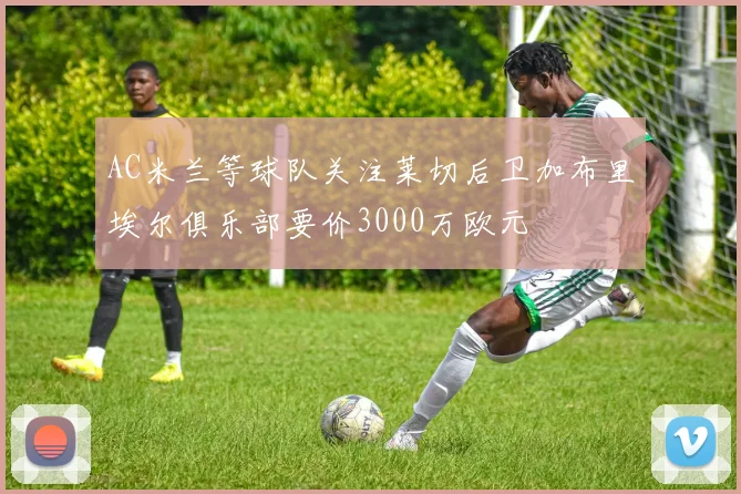AC米兰等球队关注莱切后卫加布里埃尔俱乐部要价3000万欧元